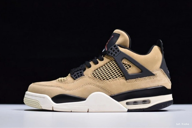 AQ9129- Air TopPick 1051 Mushroom Jordan 4 1125